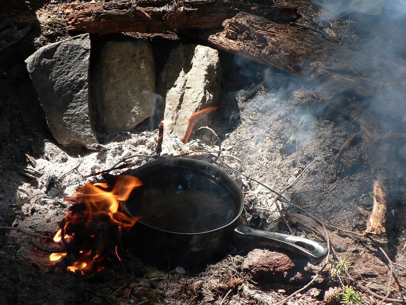 Food And Cooking