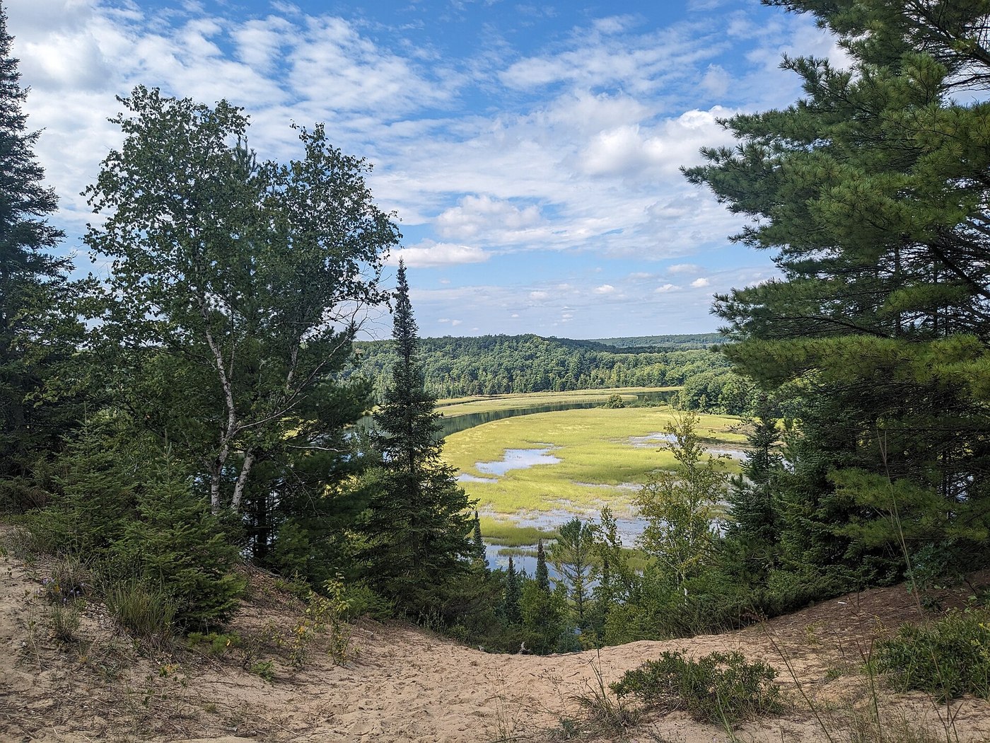 State Forest Rivers